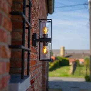 LUTEC Applique d'extérieur Flair à 2 lampes^ Appliques Murales Extérieures