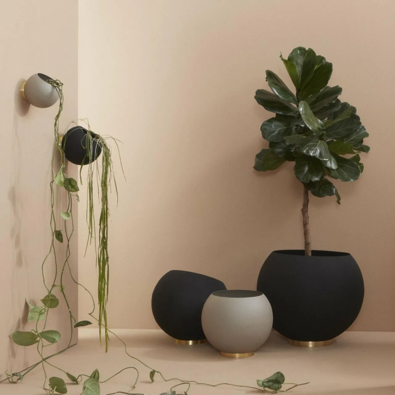 aytm_pot_de_fleurs_mural_globe___cm_grisbrun_aluminium_0-1.webp AYTM Pot de fleurs mural Globe, Ø 17 cm, gris-brun, aluminium^ Meubles & Aménagements