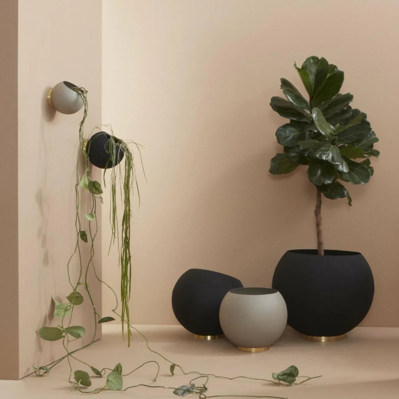 aytm_pot_de_fleurs_mural_globe___cm_noir_aluminium_1.webp AYTM pot de fleurs mural Globe, Ø 21 cm, noir, aluminium^ Meubles & Aménagements