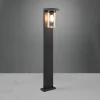 Trio Lighting Borne lumineuse Ardila avec détecteur crépusculaire, 100 cm^ Bornes Éclairage Extérieur