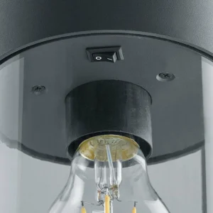 Trio Lighting Borne lumineuse Sambesi, 60 cm^ Bornes Éclairage Extérieur