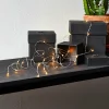 STAR TRADING Bouquet lumineux LED Dew Drop - 5 brins^ Lampes Décoratives