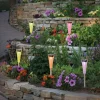Näve Colorato - piquets solaires LED multicolores x5^ Lampes Décoratives