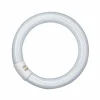 OSRAM G10q 32W 840 Lumilux T9C tube fluorescent circulaire^ Tubes Fluorescents