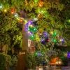 Konstsmide Christmas Guirlande Biergarten 20 ampoules LED colorées^ Lampes Décoratives