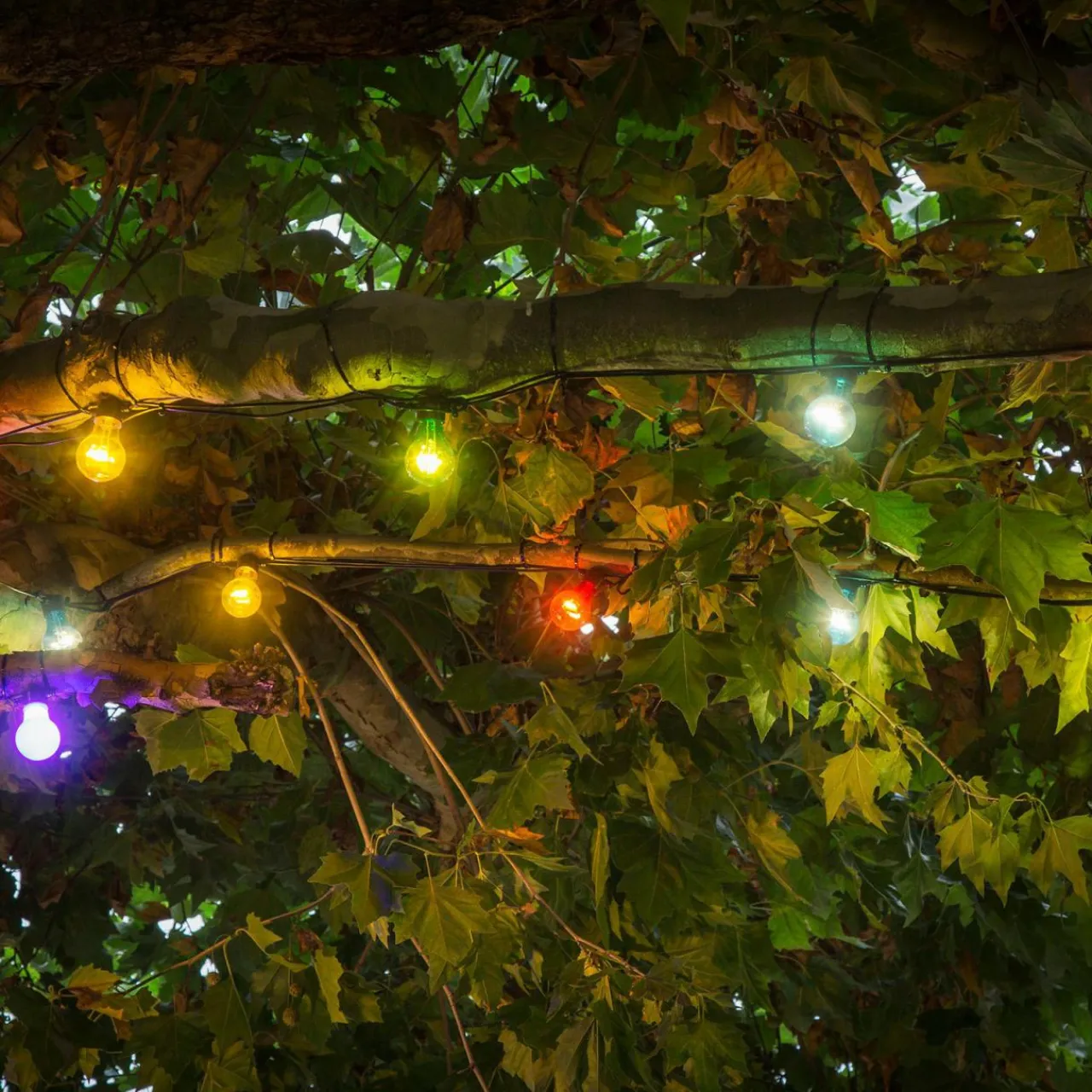 Konstsmide Christmas Guirlande Biergarten 10 ampoules LED colorées^ Lampes Décoratives