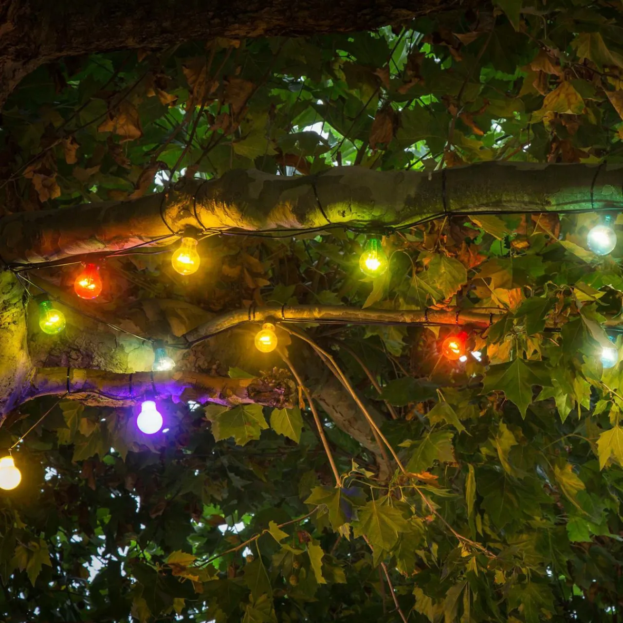 guirlande_led_biergarten_set_de_base_multicolore_0.webp Konstsmide Christmas Guirlande LED Biergarten set de base, multicolore^ Lampes Décoratives