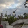 STAR TRADING Guirlande LED Cage, noire/transparente^ Lampes Décoratives