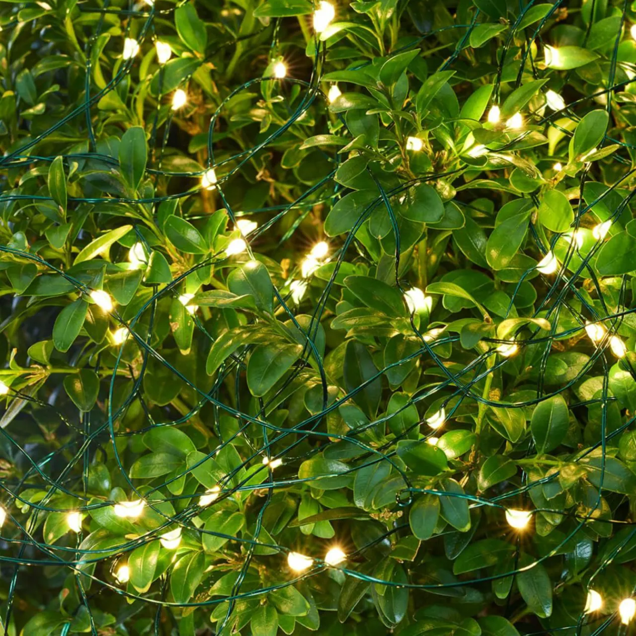 guirlande_led_knirke_pour_lextrieur_lampes_0-1.webp Sirius Guirlande LED Knirke pour l’extérieur, 80 lampes^ Lampes Décoratives