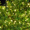 Sirius Guirlande LED Knirke pour l’extérieur, 200 lampes^ Lampes Décoratives