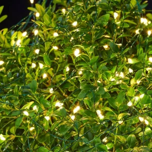 Sirius Guirlande LED Knirke pour l’extérieur, 200 lampes^ Lampes Décoratives
