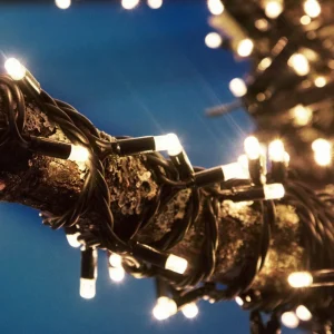 Markslöjd Guirlande lumineuse Chrissline Extra 50 LED 2.850K^ Lumière De Noël