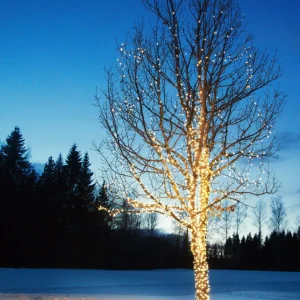 Markslöjd Guirlande lumineuse Chrissline Extra 50 LED 2.850K^ Lumière De Noël