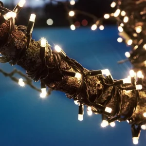 Markslöjd Guirlande lumineuse Chrissline Extra 50 LED 2.850K^ Lumière De Noël