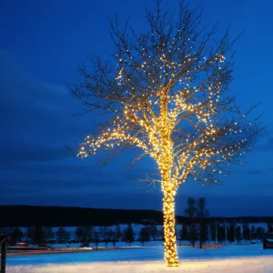 Markslöjd Guirlande lumineuse Chrissline extra chaude avec 50 LEDs^ Lumière De Noël
