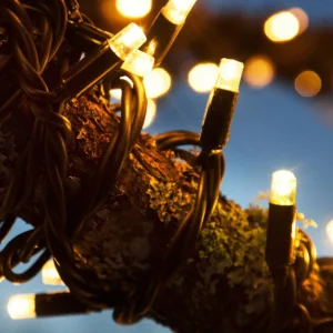 Markslöjd Guirlande lumineuse Chrissline extra chaude avec 50 LEDs^ Lumière De Noël