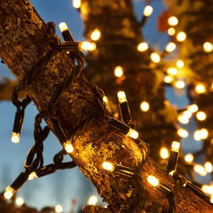 Markslöjd Guirlande lumineuse Chrissline extra chaude avec 50 LEDs^ Lumière De Noël