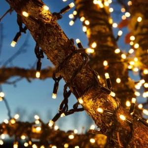 Markslöjd Guirlande lumineuse Chrissline extra chaude avec 50 LEDs^ Lumière De Noël