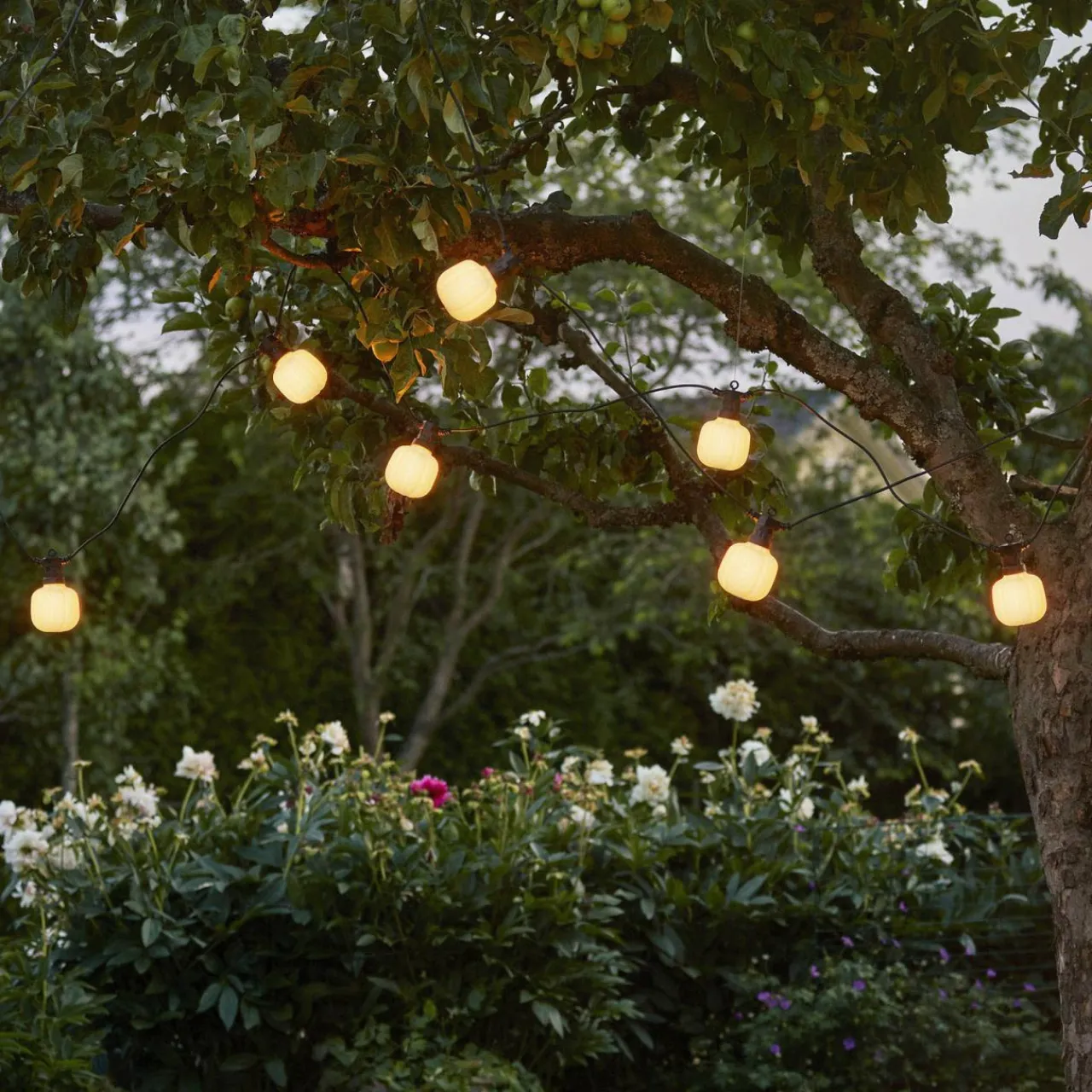 guirlande_lumineuse_led_circus_maxi_1.webp STAR TRADING Guirlande lumineuse LED Circus Maxi^ Lampes Décoratives