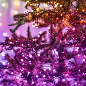 twinkly Guirlande lumineuse RGBW, 250-fl. 20m transparent^ Lumière De Noël