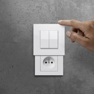 Die Versteckdose® Hidden Socket Interrupteur à touche type E Friends of Hue^ Interrupteurs Connectés