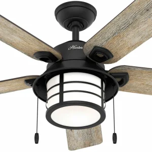 Hunter Santorini ventilateur éclairage, bois/noir^ Ventilateurs