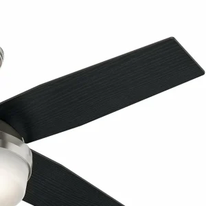 Hunter Ventilateur avec lumière Dante, noir/brun, silencieux, E27^ Ventilateurs