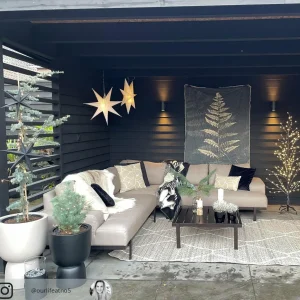 STAR TRADING IP44 étoile déco Alice intérieur & extérieur blanc^ Lumière De Noël