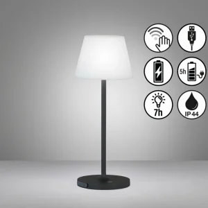 FH Lighting Lampe à poser à batterie LED Flus, noire/blanche^ Lampes Décoratives