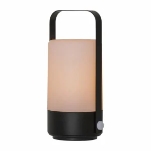 STAR TRADING Lampe à poser LED Flame Lantern, portable, pile^ Lampes Décoratives