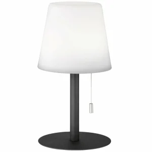FH Lighting Lampe à poser LED Garden, dimmable, chgt couleur^ Lampes Décoratives