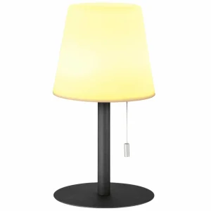 FH Lighting Lampe à poser LED Garden, dimmable, chgt couleur^ Lampes Décoratives