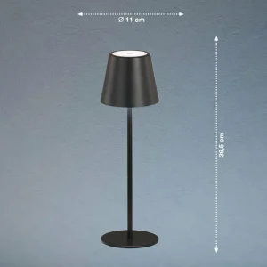 FH Lighting Lampe à poser LED rechargeable Viletto, noir, IP54^ Lampes Décoratives