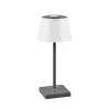 Reality Leuchten Lampe à poser LED Sanchez RGBW/dim, anthracite^ Lampes Décoratives