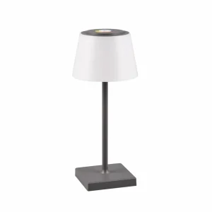 Reality Leuchten Lampe à poser LED Sanchez RGBW/dim, anthracite^ Lampes Décoratives