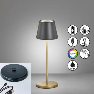 FH Lighting Lampe batterie LED Cosenza 2.0, 34 cm noire/dorée^ Lampes Décoratives