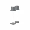 FH Lighting Lampe batterie LED Cosenza x2 gris sable H 38 cm^ Lampes Décoratives