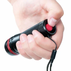 Maul Lampe de poche LED leos^ Lampes Torche