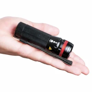 Maul Lampe de poche LED leos^ Lampes Torche