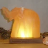 Wagner Life Lampe de sel LED éléphant avec socle, ambre^ Lampes Décoratives
