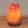 Wagner Life Lampe de sel rocher, avec socle, 1,5-2 kg, ambre^ Lampes Décoratives