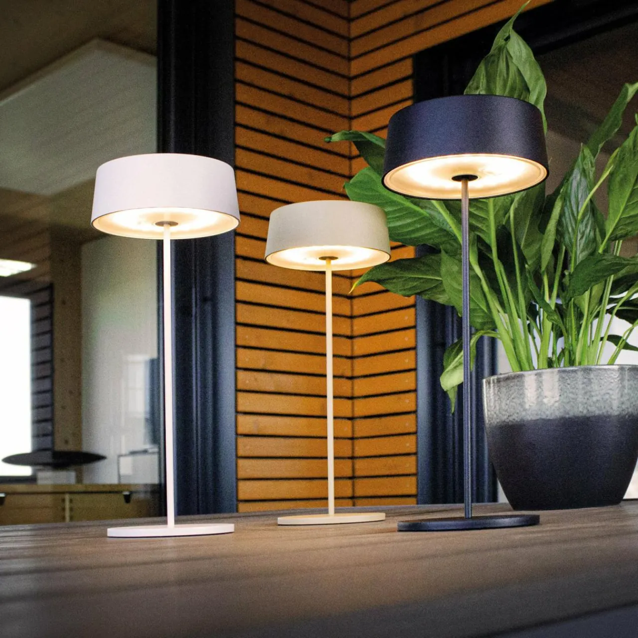lampe_de_table_batterie_led_cocktail_dim_blanche_6.webp Eco-Light Lampe de table batterie LED Cocktail, dim, blanche^ Lampes Décoratives