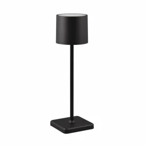 Reality Leuchten Lampe de table LED Fernandez variateur/CCT noire^ Lampes Décoratives