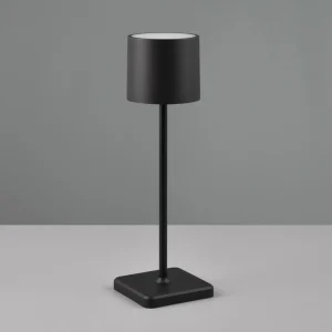 Reality Leuchten Lampe de table LED Fernandez variateur/CCT noire^ Lampes Décoratives