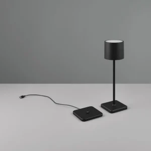 Reality Leuchten Lampe de table LED Fernandez variateur/CCT noire^ Lampes Décoratives