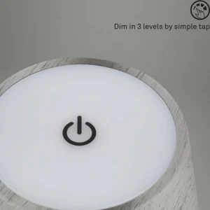 Briloner Lampe de table LED Kiki avec poser rechargeable 3.000K argent antique^ Lampes Décoratives