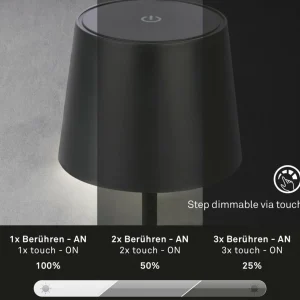 Briloner Lampe de table LED Piha avec batterie, noir^ Lampes Décoratives