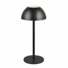 Reality Leuchten Lampe de table LED rechargeable Ricardo, noir, hauteur 30 cm, plastique^ Lampes Décoratives