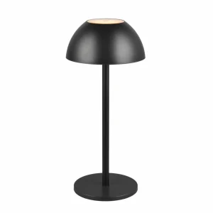 Reality Leuchten Lampe de table LED rechargeable Ricardo, noir, hauteur 30 cm, plastique^ Lampes Décoratives