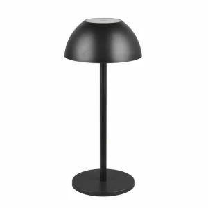 Reality Leuchten Lampe de table LED rechargeable Ricardo, noir, hauteur 30 cm, plastique^ Lampes Décoratives
